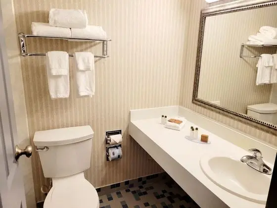 Dog Friendly, 2 Double Beds, Non-Smoking, with Refrigerator