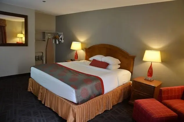 Oda, 1 En Büyük (King) Boy Yatak, Engellilere Uygun, Sigara İçilmez (Mobility/Hearing)