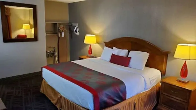 Oda, 1 En Büyük (King) Boy Yatak, Sigara İçilmez