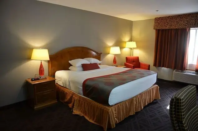 Oda, 1 En Büyük (King) Boy Yatak, Sigara İçilmez