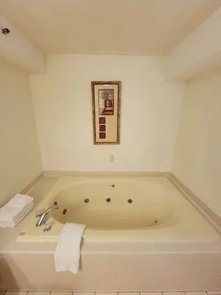 Comfort Süit