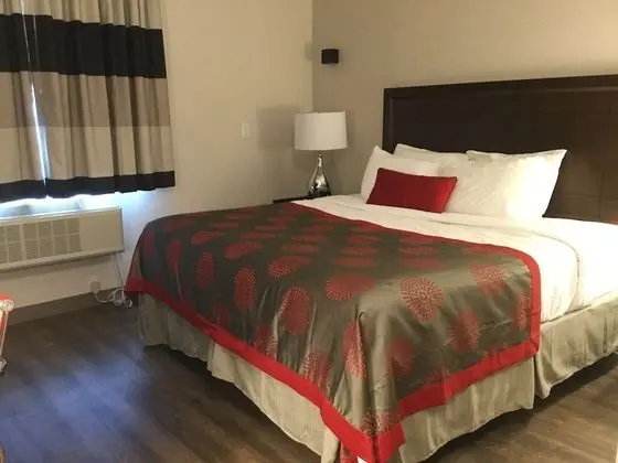 Oda, 1 En Büyük (King) Boy Yatak, Sigara İçilmez