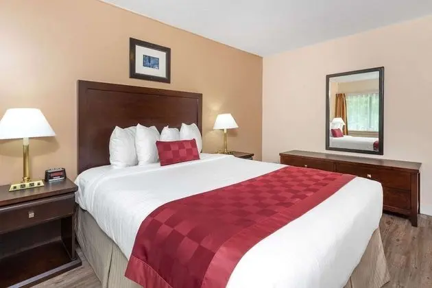 Süit, 2 Büyük (Queen) Boy Yatak, Sigara İçilmez (2 Bedrooms)