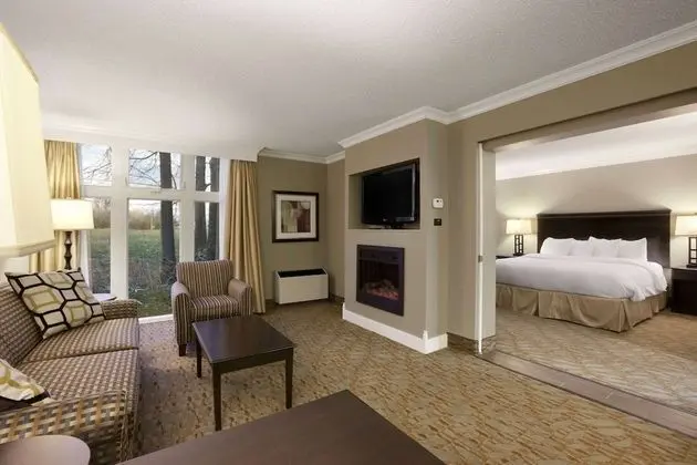 Süit, 1 En Büyük (King) Boy Yatak, Sigara İçilmez (One-Bedroom)