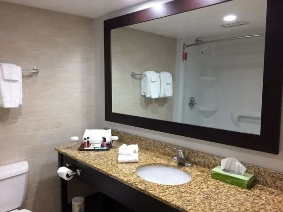 Süit, 1 En Büyük (King) Boy Yatak, Sigara İçilmez (One-Bedroom)