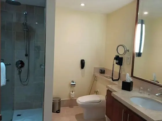 Premium Stüdyo, 1 En Büyük (King) Boy Yatak, Sigara İçilebilir (Burj Khalifa/Fountain View)