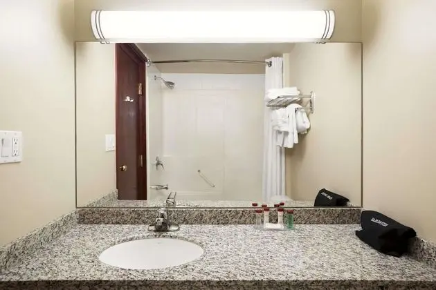 Süit, 2 Büyük (Queen) Boy Yatak, Sigara İçilmez (One-Bedroom)