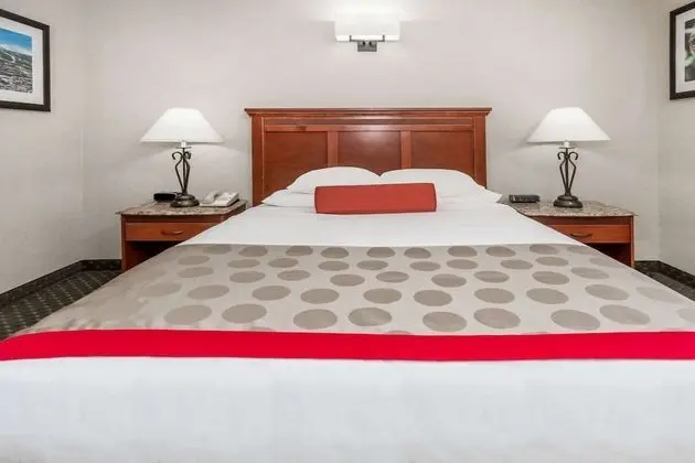Standard Oda, 1 Büyük (Queen) Boy Yatak, Engellilere Uygun, Sigara İçilmez (Mobility Accessible)