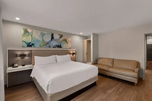 Süit, 1 Yatak Odası, Sigara İçilmez, Bahçe Manzaralı (1 King Bed, Dressing Counter)