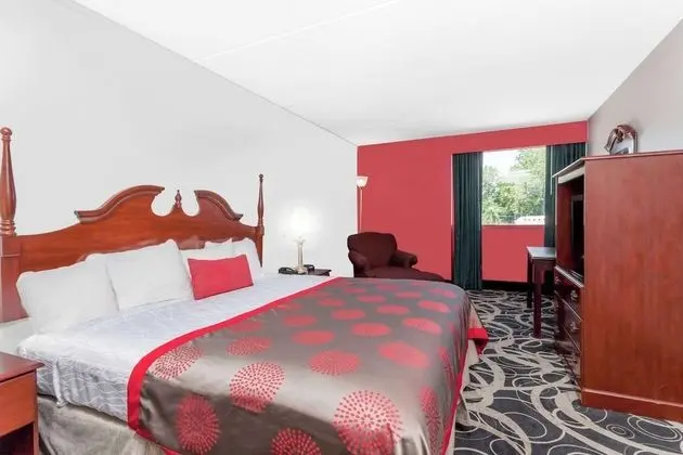 Oda, 1 En Büyük (King) Boy Yatak, Sigara İçilmez (Accessible)