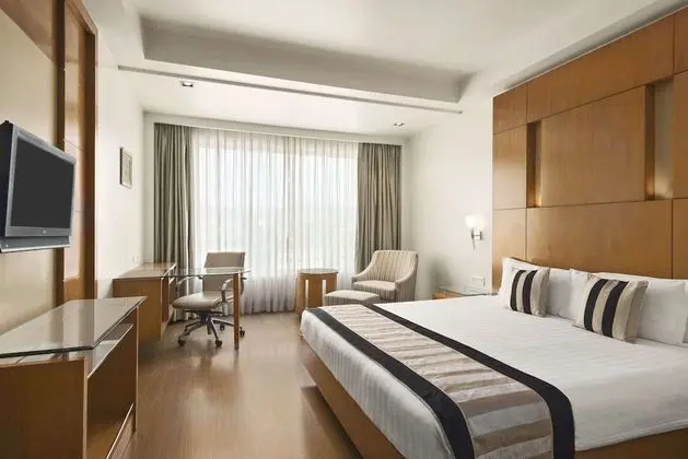 Deluxe Tek Büyük Yataklı Oda, Sigara İçilmez