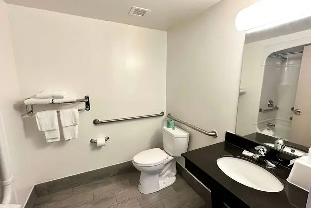 Oda, 1 Büyük (Queen) Boy Yatak, Engellilere Uygun, Sigara İçilmez (Mobility, Bathtub w/Grab Bars)