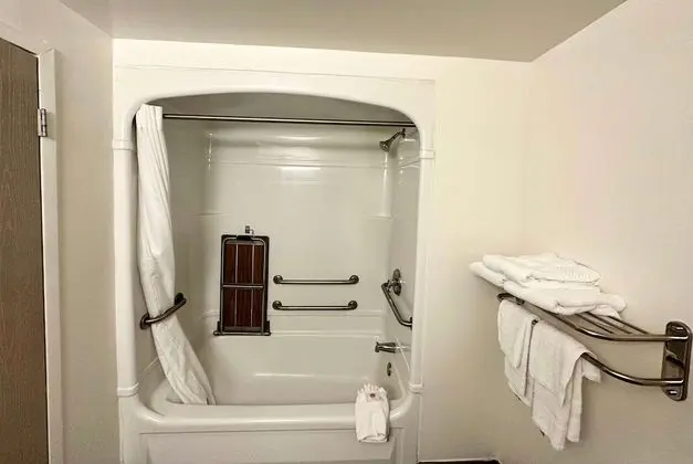 Oda, 1 Büyük (Queen) Boy Yatak, Engellilere Uygun, Sigara İçilmez (Mobility, Roll-In Shower)