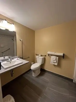 Oda, 1 Büyük (Queen) Boy Yatak, Engellilere Uygun, Sigara İçilmez (Mobility,Tub w/Grab Bars)
