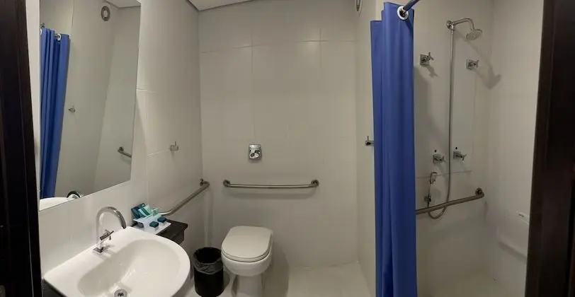 Oda, 1 Büyük (Queen) Boy Yatak, Engellilere Uygun, Sigara İçilmez (Mobility Bathtub w/Grab Bars)