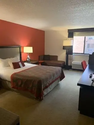 Standard Oda, 1 Büyük (Queen) Boy Yatak