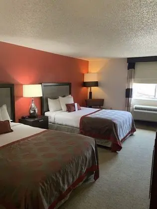 Tek Büyük Yataklı Oda, 2 Çift Kişilik Yatak