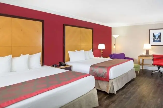 Deluxe Oda, Birden Çok Yatak, Sigara İçilmez