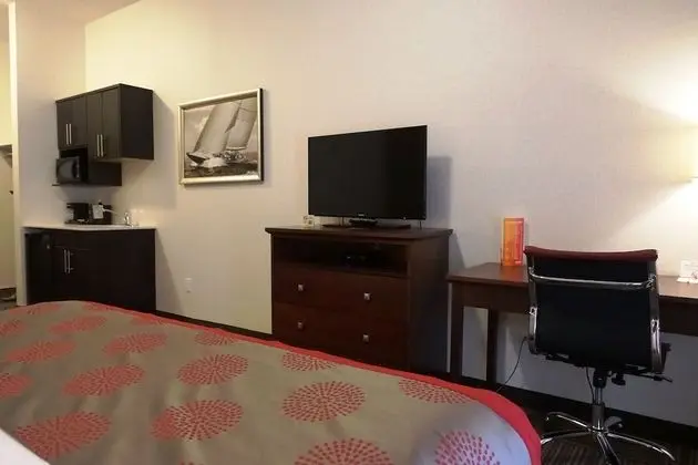 Deluxe Süit, 1 En Büyük (King) Boy Yatak, Sigara İçilmez