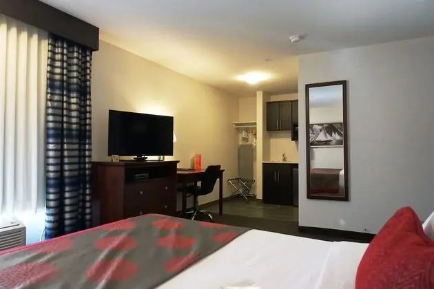Oda, 1 En Büyük (King) Boy Yatak, Sigara İçilmez (Pet Friendly)