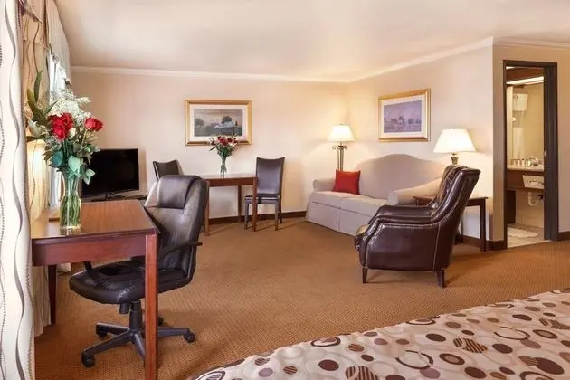 Business Oda, 1 En Büyük (King) Boy Yatak, Sigara İçilmez