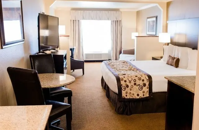 Stüdyo Süit, 1 En Büyük (King) Boy Yatak, Sigara İçilmez