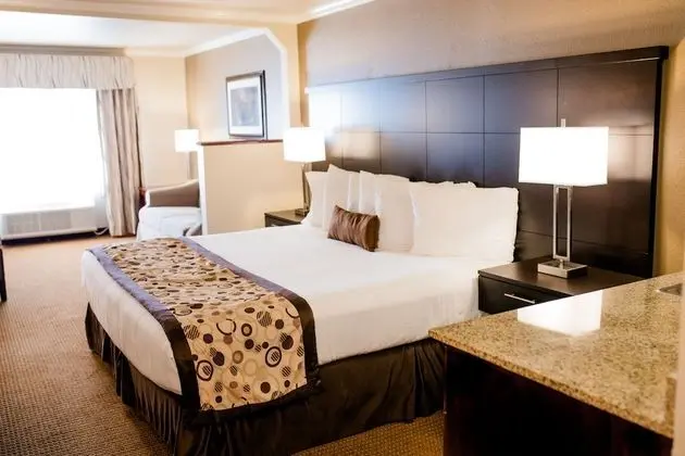 Stüdyo Süit, 1 En Büyük (King) Boy Yatak, Sigara İçilmez