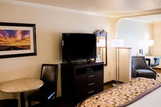 Stüdyo Süit, 1 En Büyük (King) Boy Yatak, Sigara İçilmez