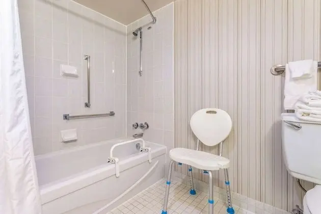 Oda, 1 En Büyük (King) Boy Yatak, Engellilere Uygun, Sigara İçilmez (Tub with Grab Bars)