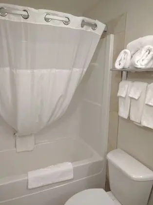 Deluxe Oda, Birden Çok Yatak, Sigara İçilmez, Mikrodalga (Refrigerator)