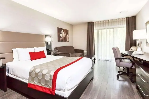 Deluxe Oda, 1 Büyük (Queen) Boy Yatak, Sigara İçilmez (Water Front)