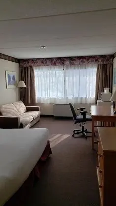 Oda, 1 En Büyük (King) Boy Yatak, Sigara İçilmez (Main Level)