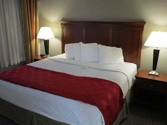 Business Oda, 1 En Büyük (King) Boy Yatak, Sigara İçilmez (One-Bedroom)