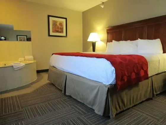 Süit, 1 En Büyük (King) Boy Yatak, Sigara İçilmez (One-Bedroom)