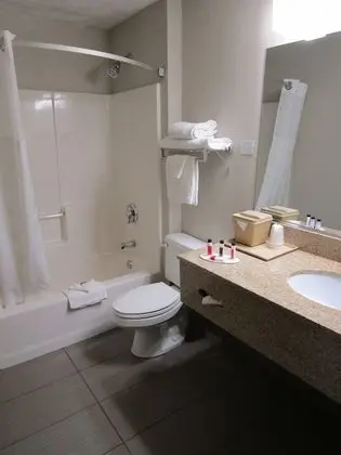 Süit, 1 En Büyük (King) Boy Yatak, Sigara İçilmez (One-Bedroom)