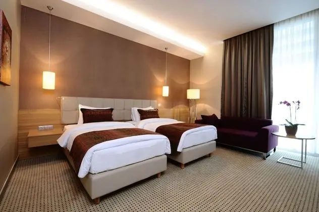 Deluxe Oda, 2 Tek Kişilik Yatak, Sigara İçilmez