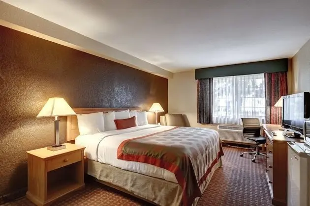 Süit, 1 Yatak Odası, Sigara İçilmez (1 King Bed)