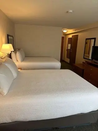 Standard Oda, 2 Büyük (Queen) Boy Yatak, Sigara İçilmez, Buzdolabı ve Mikrodalga (Pet Friendly)