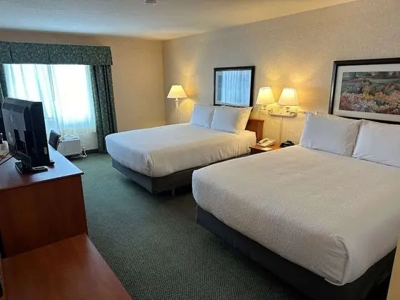 Standard Oda, 2 Büyük (Queen) Boy Yatak, Sigara İçilmez, Buzdolabı ve Mikrodalga (Pet Friendly)