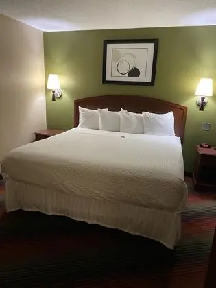 Stüdyo Süit, 1 En Büyük (King) Boy Yatak, Sigara İçilmez (One-Bedroom)