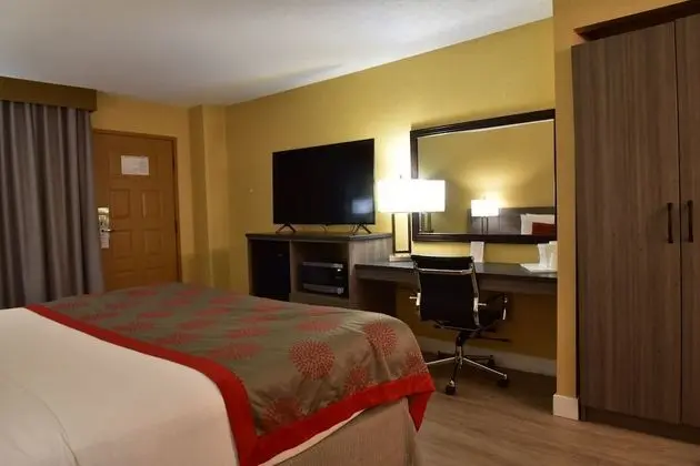 Oda, 1 En Büyük (King) Boy Yatak, Sigara İçilmez, Koy Manzaralı (Mid Floor)