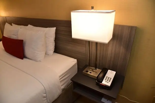 Oda, 1 En Büyük (King) Boy Yatak, Sigara İçilmez, Koy Manzaralı (Mid Floor)