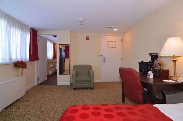 Süit, 1 En Büyük (King) Boy Yatak, Engellilere Uygun, Sigara İçilmez (One-Bedroom)