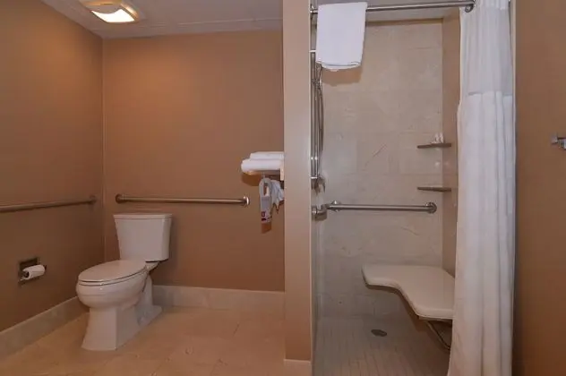 Süit, 1 En Büyük (King) Boy Yatak, Engellilere Uygun, Sigara İçilmez (One-Bedroom)