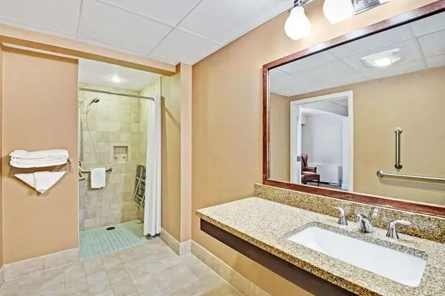 Süit, 1 En Büyük (King) Boy Yatak, Engellilere Uygun, Sigara İçilmez (One-Bedroom)