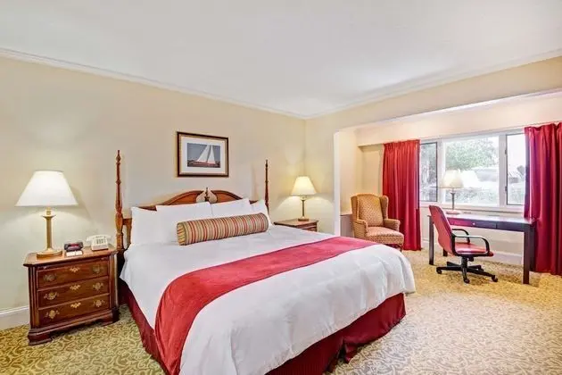 Süit, 1 En Büyük (King) Boy Yatak, Sigara İçilmez (One-Bedroom)