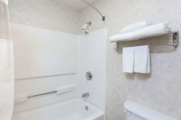 Superior Süit, 1 En Büyük (King) Boy Yatak, Sigara İçilmez (One-Bedroom)