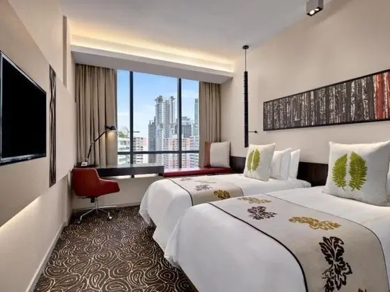 Tek Kişilik Oda City View