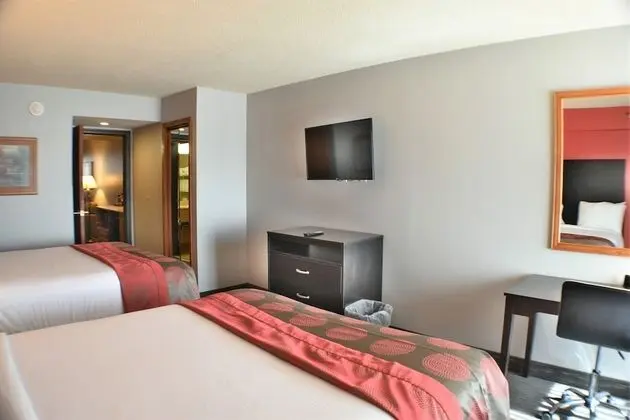 Süit, 2 Büyük (Queen) Boy Yatak, Engellilere Uygun, Sigara İçilmez (One-Bedroom, Mobility)