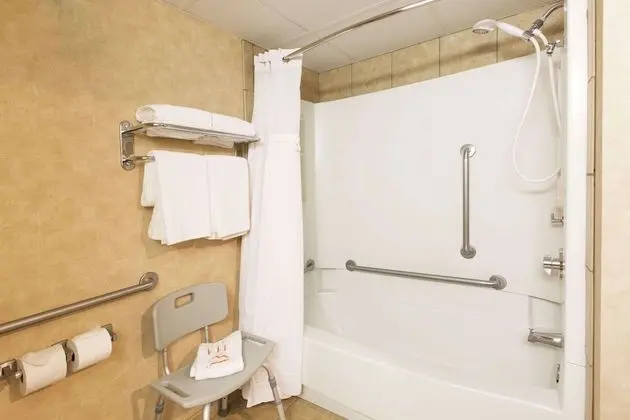 Süit, 2 Büyük (Queen) Boy Yatak, Engellilere Uygun, Sigara İçilmez (One-Bedroom, Mobility)